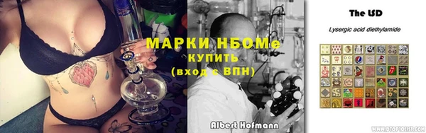 прущий лед Алзамай