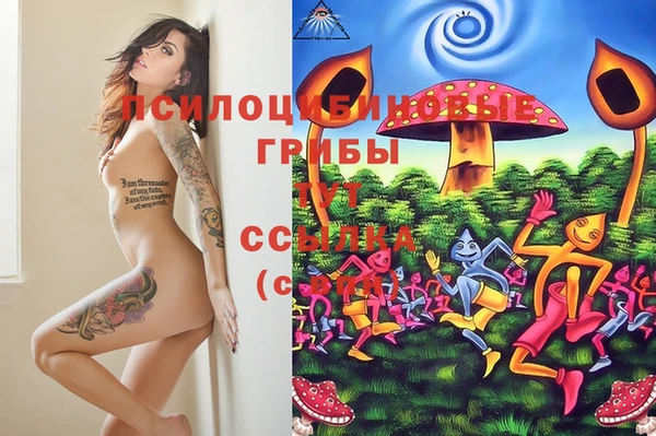 мяу мяу мука Алексин