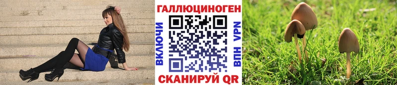 Псилоцибиновые грибы Psilocybine cubensis  закладки  Кемь 